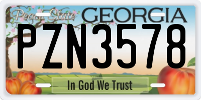 GA license plate PZN3578