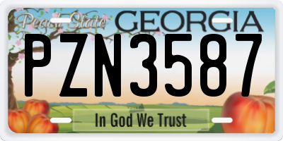 GA license plate PZN3587