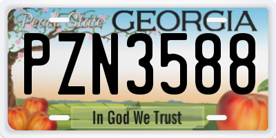 GA license plate PZN3588