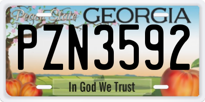 GA license plate PZN3592