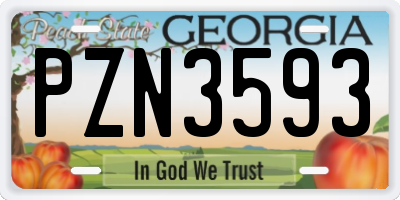 GA license plate PZN3593