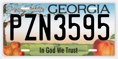 GA license plate PZN3595