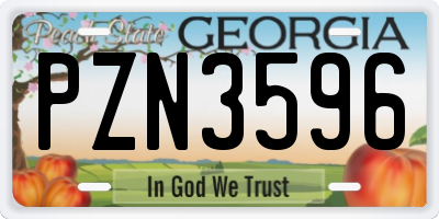 GA license plate PZN3596