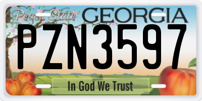 GA license plate PZN3597
