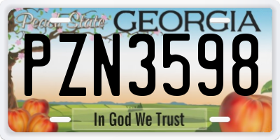 GA license plate PZN3598