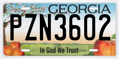GA license plate PZN3602