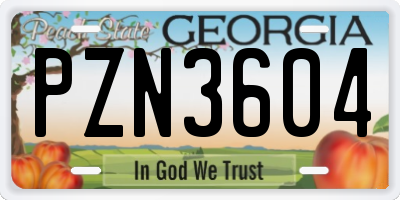GA license plate PZN3604