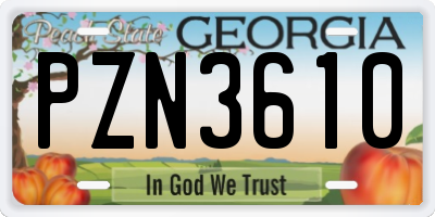 GA license plate PZN3610