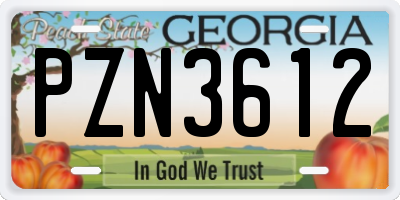 GA license plate PZN3612