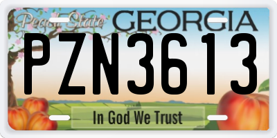 GA license plate PZN3613