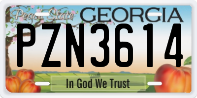 GA license plate PZN3614