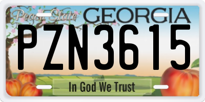 GA license plate PZN3615