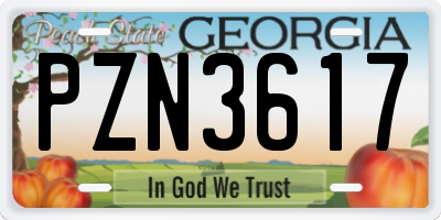 GA license plate PZN3617