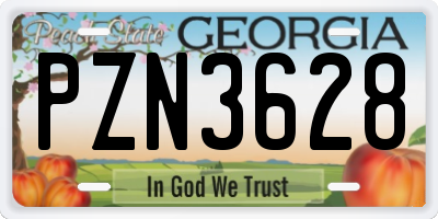 GA license plate PZN3628