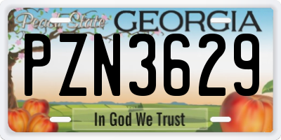 GA license plate PZN3629