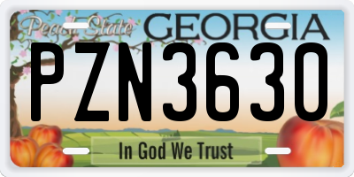 GA license plate PZN3630