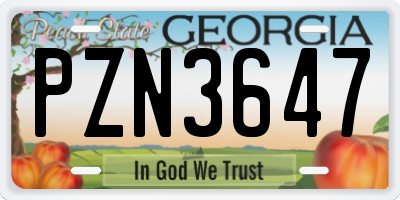 GA license plate PZN3647