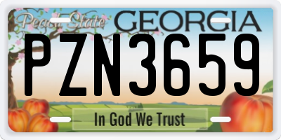 GA license plate PZN3659
