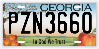 GA license plate PZN3660