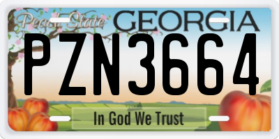 GA license plate PZN3664