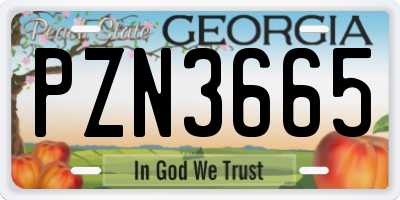 GA license plate PZN3665