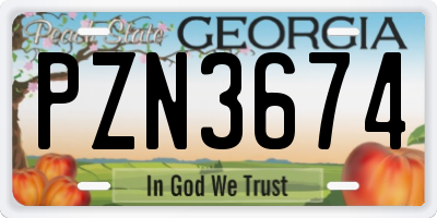 GA license plate PZN3674