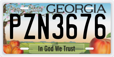 GA license plate PZN3676