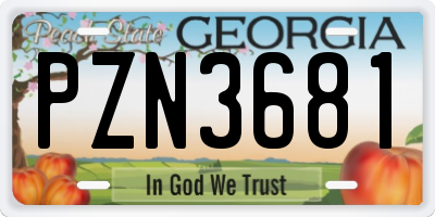 GA license plate PZN3681