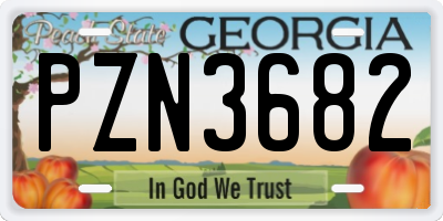 GA license plate PZN3682