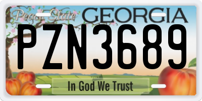 GA license plate PZN3689