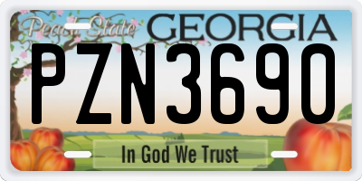 GA license plate PZN3690