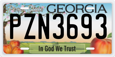GA license plate PZN3693