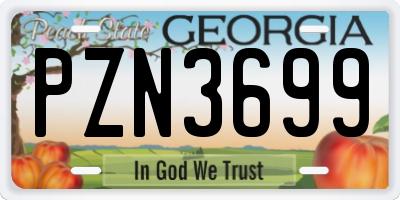 GA license plate PZN3699