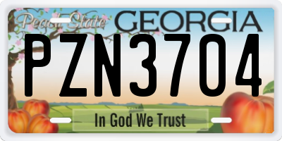 GA license plate PZN3704