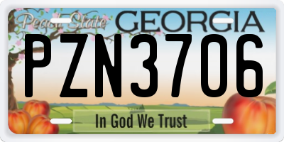 GA license plate PZN3706