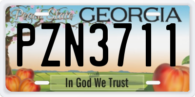 GA license plate PZN3711
