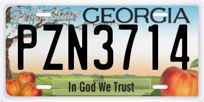 GA license plate PZN3714