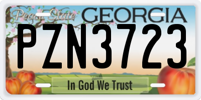 GA license plate PZN3723