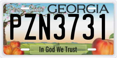 GA license plate PZN3731