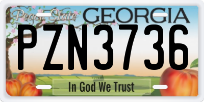 GA license plate PZN3736