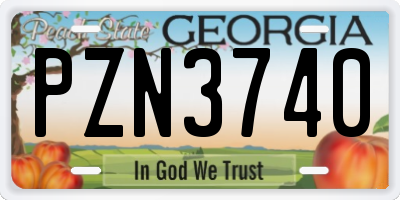 GA license plate PZN3740