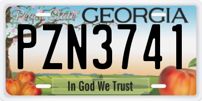 GA license plate PZN3741
