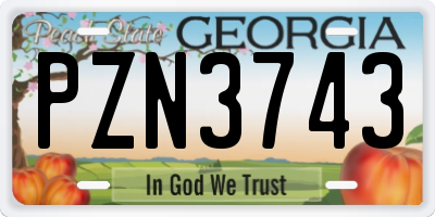 GA license plate PZN3743