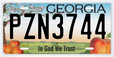 GA license plate PZN3744