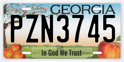 GA license plate PZN3745
