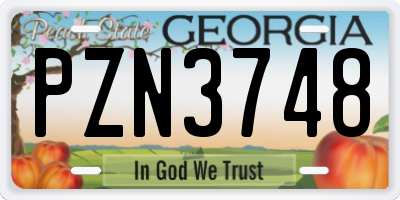 GA license plate PZN3748