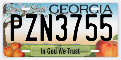 GA license plate PZN3755
