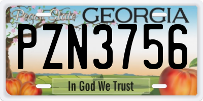 GA license plate PZN3756