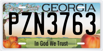 GA license plate PZN3763