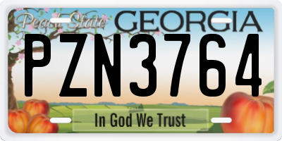 GA license plate PZN3764